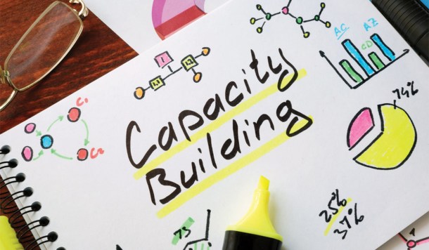 Capacity Building for Nonprofits: Needs in the Rural States