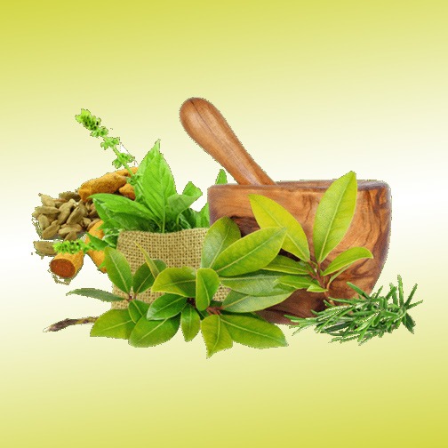 Embracing Holistic Wellness: A Journey with Back to Roots Ayurveda