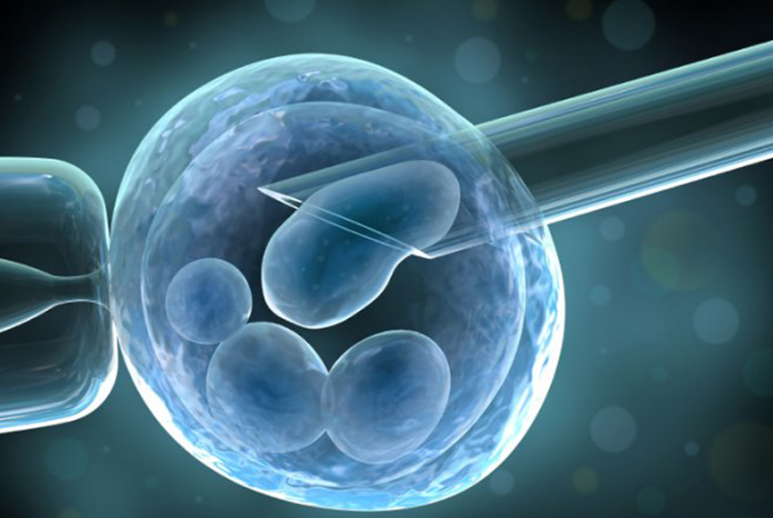 Revolutionizing Design: Engineered Nanoparticles for Enhanced Immune Responses