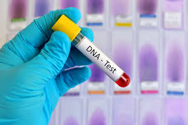 DNA Ancestry: Exploring the Roots of Our Heritage