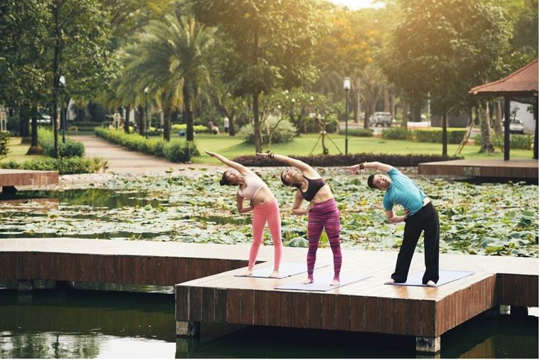 Wellness Industry Players, Segmentation, and Analysis